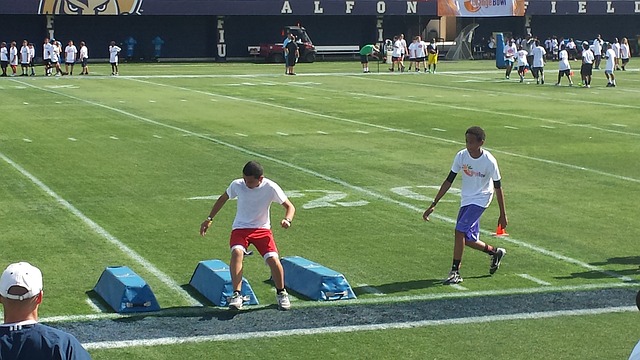 可撼動的紅 可撼動的紅