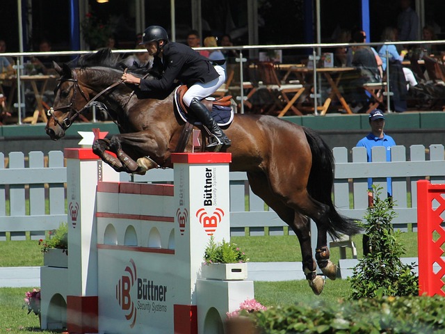 强度游泳 强度游泳