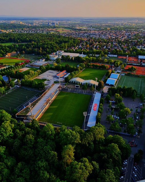 索引擎优化 索引擎优化