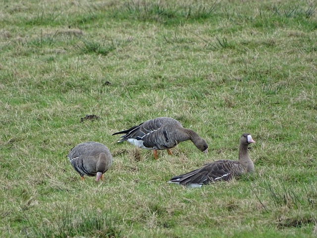 到施工中采 到施工中采
