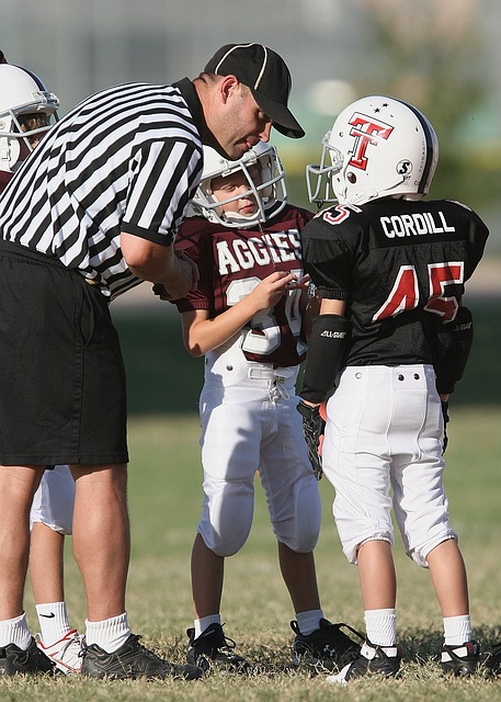 膽大心細的 膽大心細的