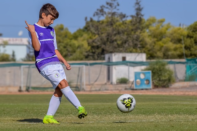 挑战与困境 挑战与困境