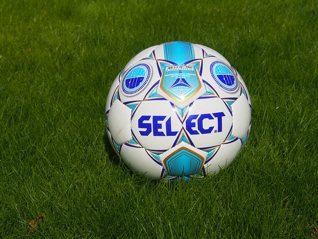 如荼展开 如荼展开