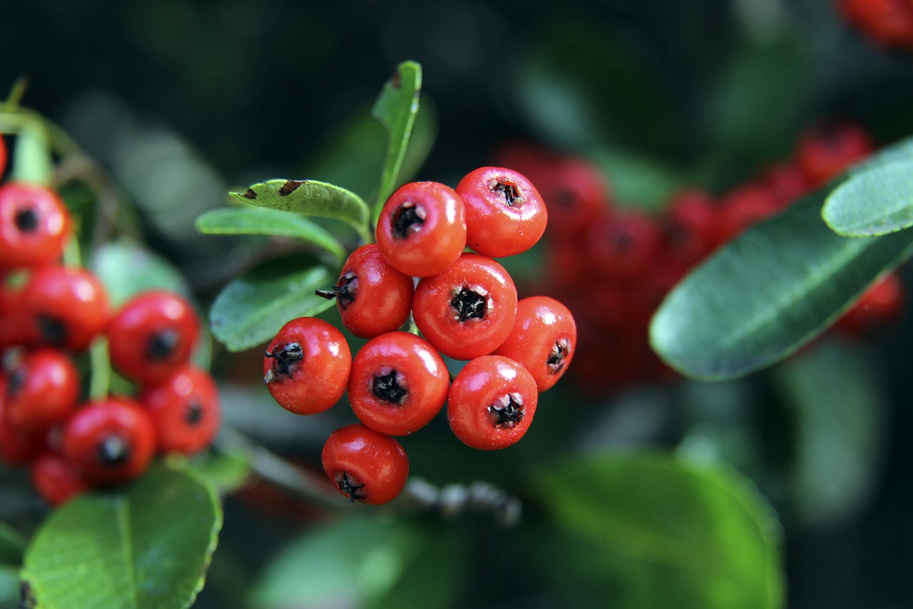 更是心理上 更是心理上