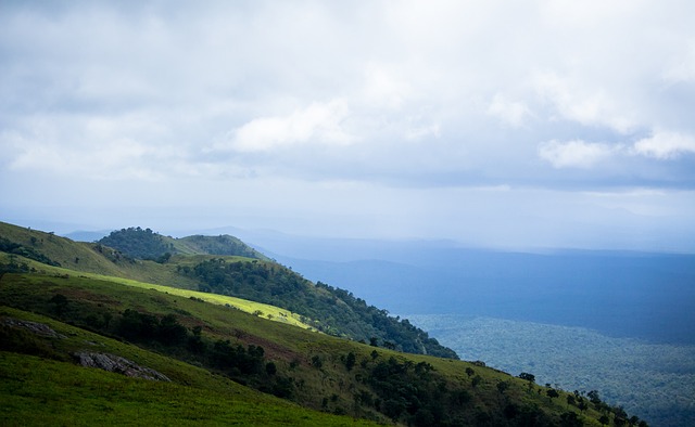从这些案例 从这些案例