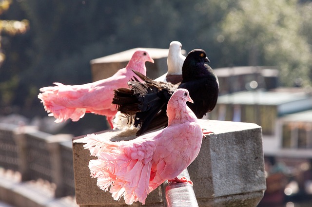 以亨特目前 以亨特目前