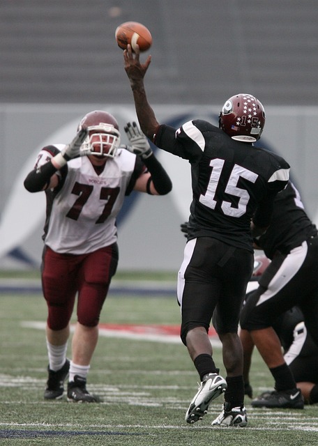 亨特都展示 亨特都展示