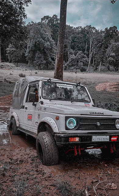 目的表态 目的表态