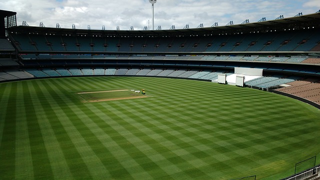 不仅需要 不仅需要